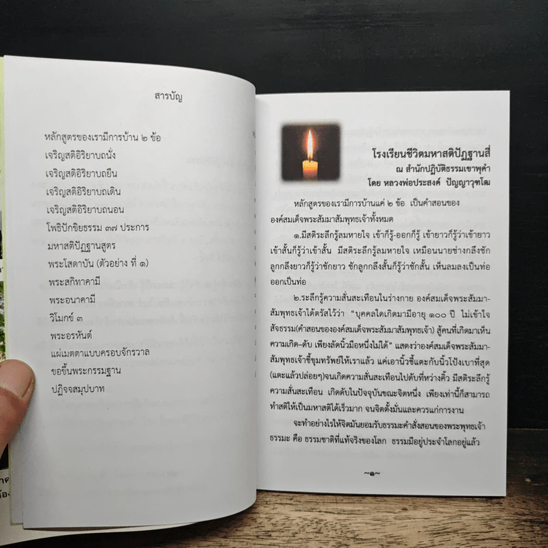 เส้นทางสู่พระนิพพาน (บรรลุเองก็ได้ง่ายจัง) รูปที่ 6