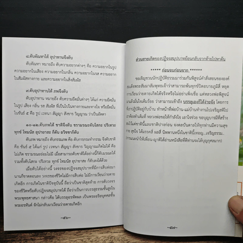 เส้นทางสู่พระนิพพาน (บรรลุเองก็ได้ง่ายจัง) รูปที่ 7