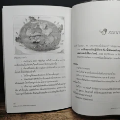 น้ำมันมะพร้าว น้ำมันบริสุทธิ์ สุดยอดยามหัศจรรย์ - สุทธิชัย ปทุมล่องทอง รูปที่ 10