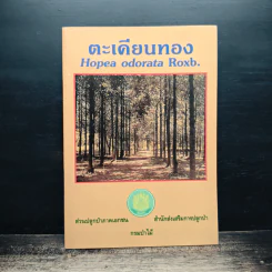 ตะเคียนทอง Hopea odorata Roxb รูปที่ 1