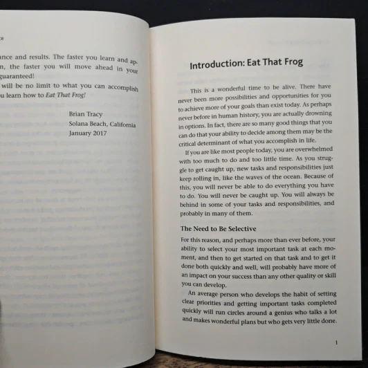 Eat That Frog! - Brian Tracy รูปที่ 8