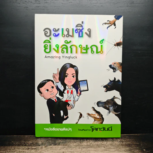 อะเมซิ่งยิ่งลักษณ์ รูปที่ 1