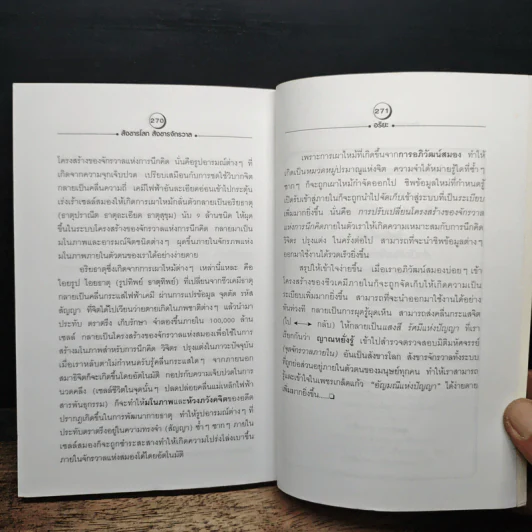 จักรภพแห่งมโนภาพ - อริยะ รูปที่ 10