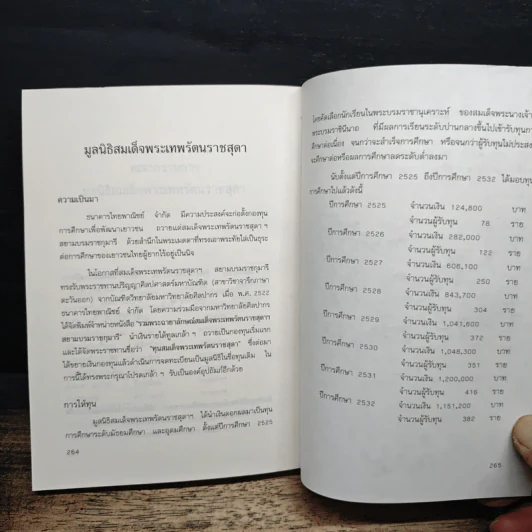 เบิ่งบ่ทัน เบิ่งบ่หมด - สิรินธร รูปที่ 11