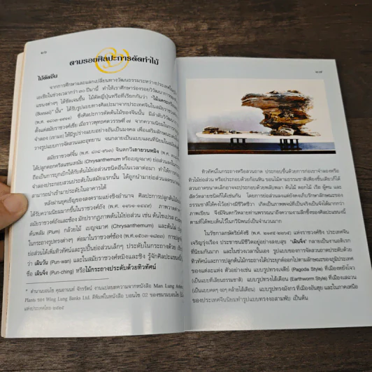 คืนชีวิตไม้ดัดชั้นครู - อ.อโณทัย รูปที่ 7