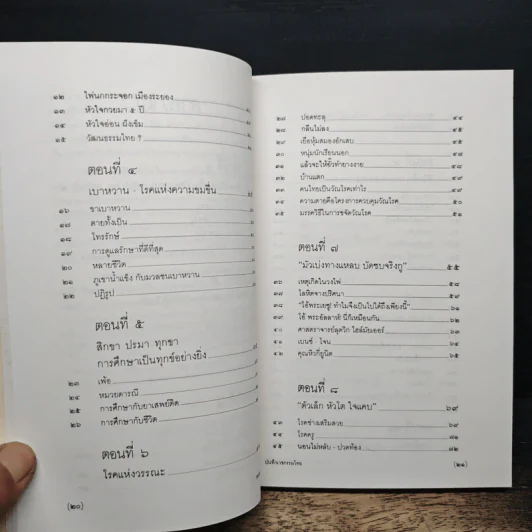รักษาโรคหรือรักษาคน - ศ.น.พ.ประเวศ วะสี รูปที่ 8