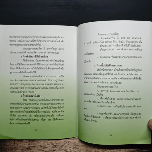 ผักปลอดสารพิษ - กรมส่งเสริมการเกษตร รูปที่ 7