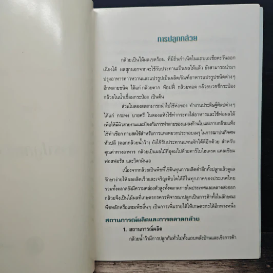 การปลูกกล้วย รูปที่ 5