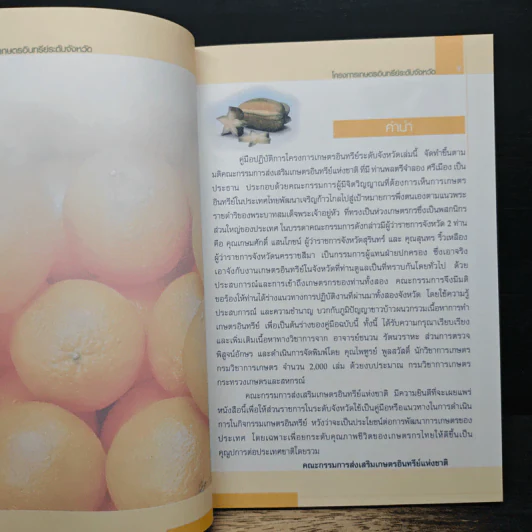 คู่มือปฏิบัติการโครงการเกษตรอินทรีย์ระดับจังหวัด รูปที่ 6
