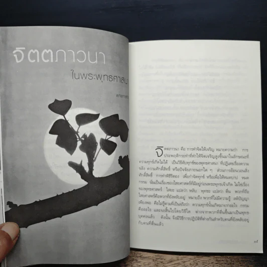 วารสารธรรมมาตา ปีที่ 5 เล่มที่ 3 ม.ค.-ก.พ. มี.ค-เม.ย รูปที่ 9