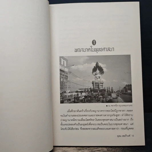 ตามรอยพญานาค - อุดม เชยกีวงศ์ รูปที่ 9