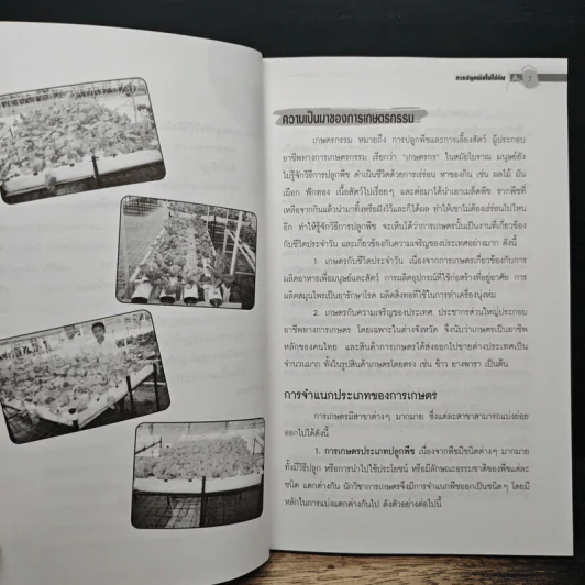 การปลูกพืชไม่ใช้ดิน - ถวิล สุขวงษ์ รูปที่ 8
