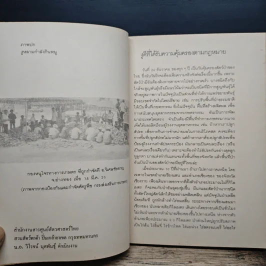 สารศูนย์สัตวศาสตร์ไทย รูปที่ 8