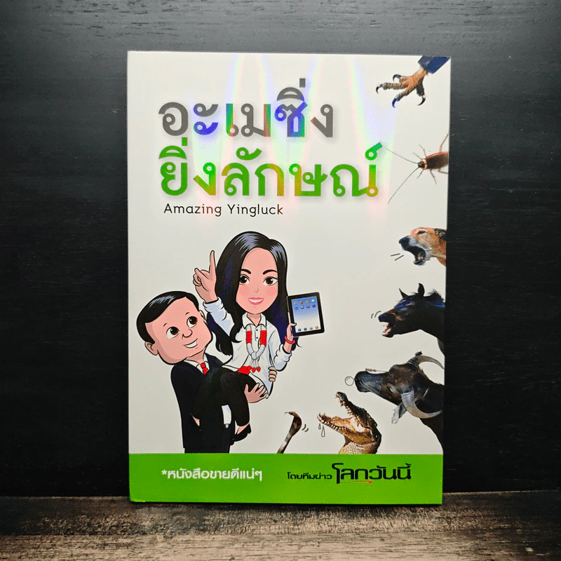 อะเมซิ่งยิ่งลักษณ์ รูปที่ 1