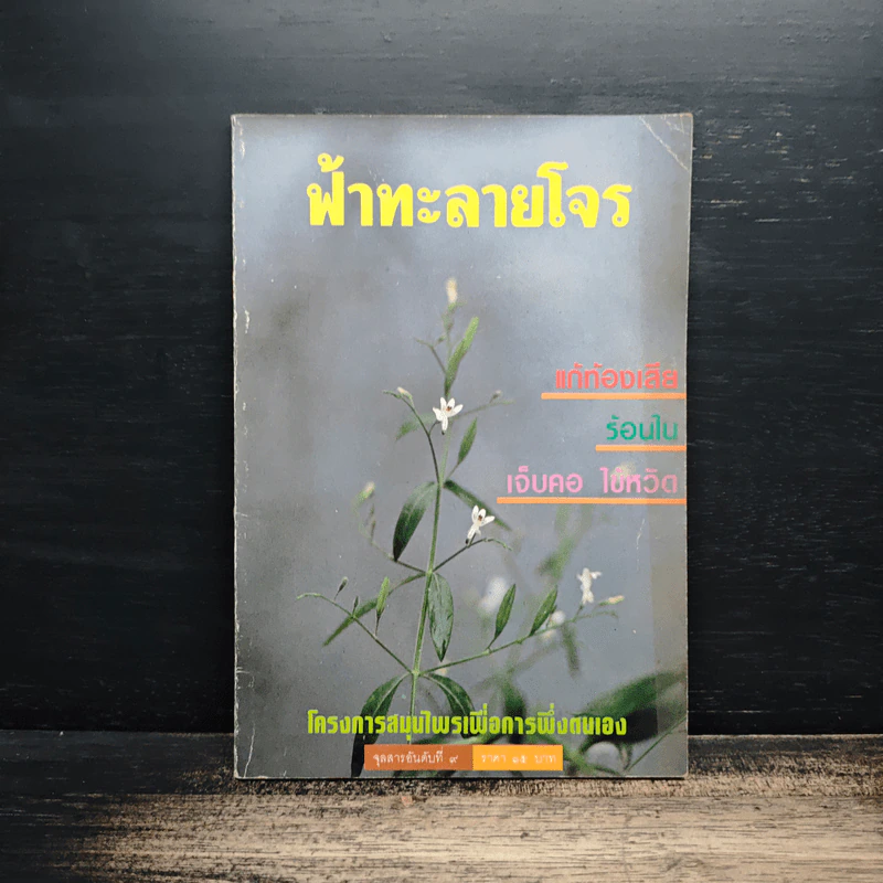 ฟ้าทะลายโจร แก้ท้องเสีย ร้อนใน เจ็บคอ ไข้หวัด รูปที่ 1