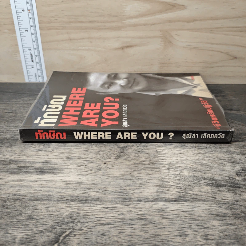 ทักษิณ Where Are You ชีวิตหลังปฎิวัติ - สุณิสา เลิศภควัต รูปที่ 2