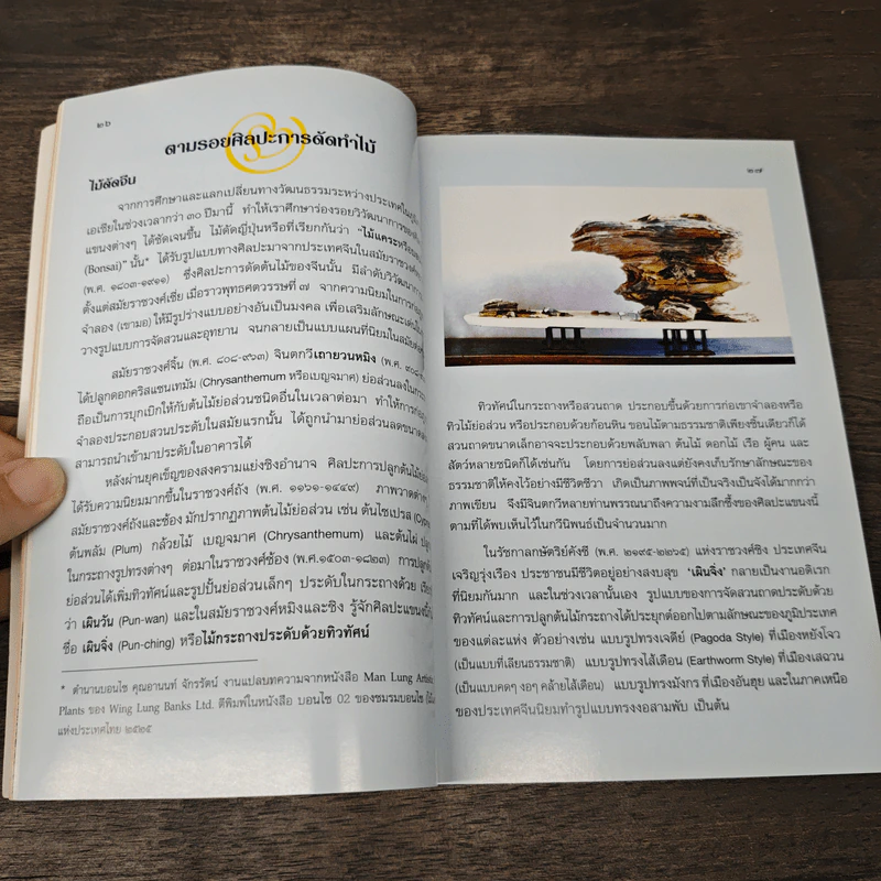 คืนชีวิตไม้ดัดชั้นครู - อ.อโณทัย รูปที่ 7