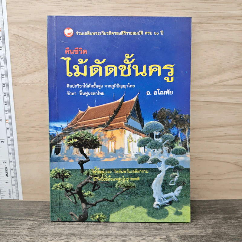 คืนชีวิตไม้ดัดชั้นครู - อ.อโณทัย รูปที่ 1