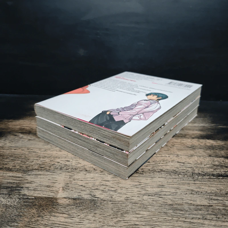 SAI : Taker-The Two Artemis เล่ม 1-3 รูปที่ 4