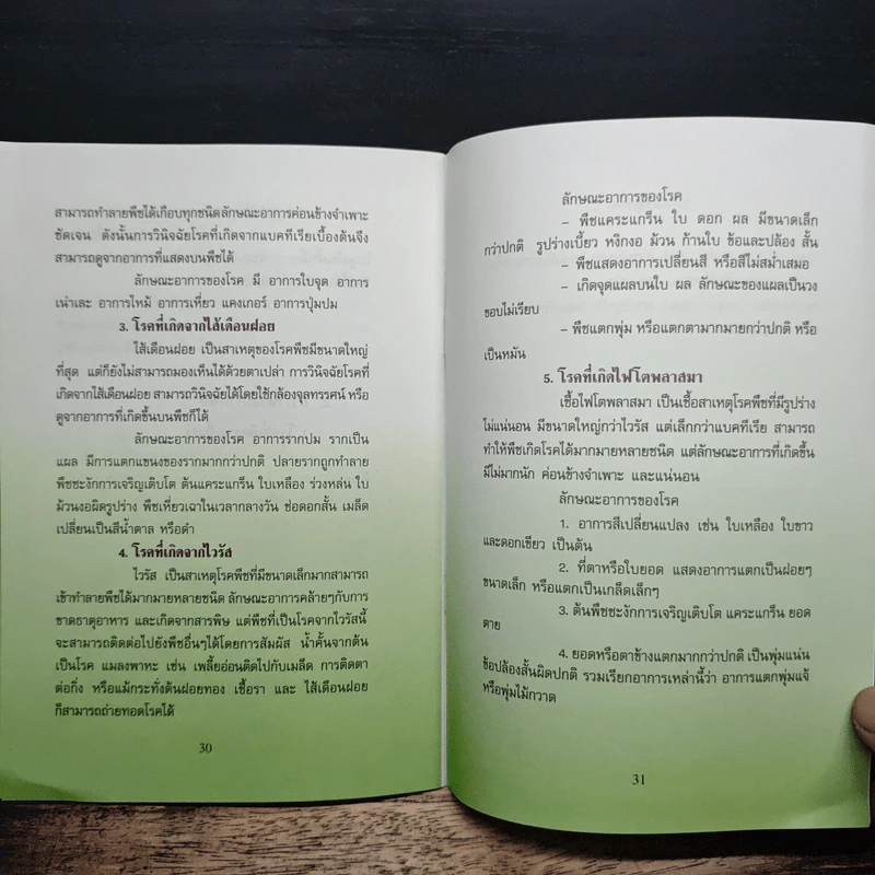 ผักปลอดสารพิษ - กรมส่งเสริมการเกษตร รูปที่ 7
