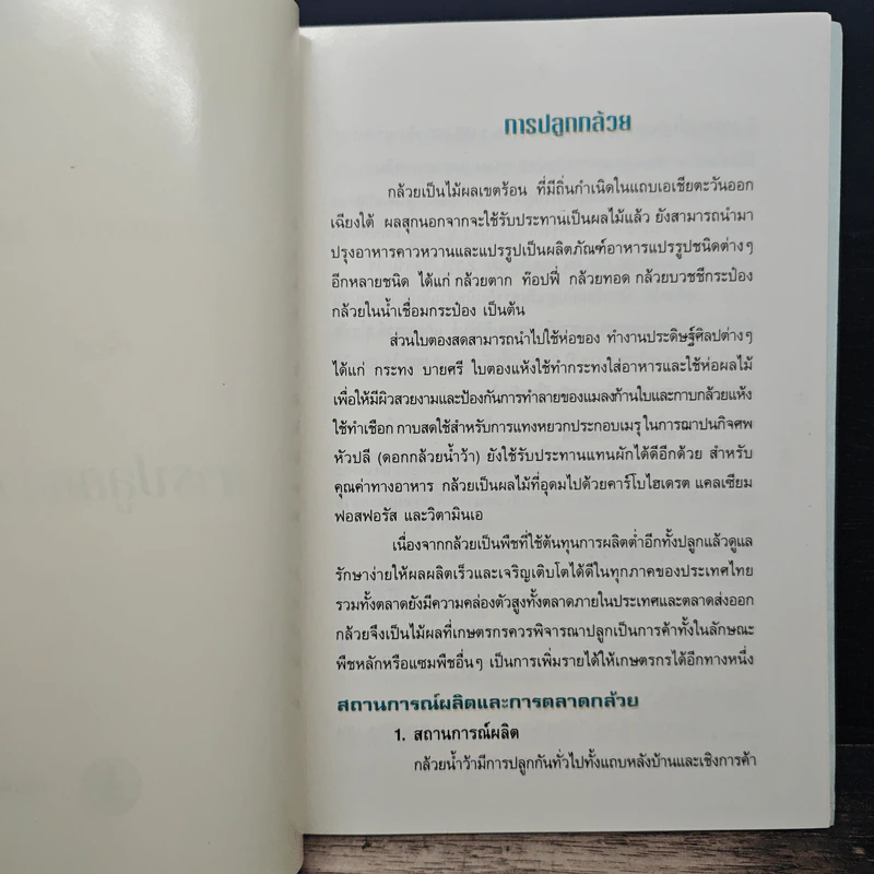 การปลูกกล้วย รูปที่ 5