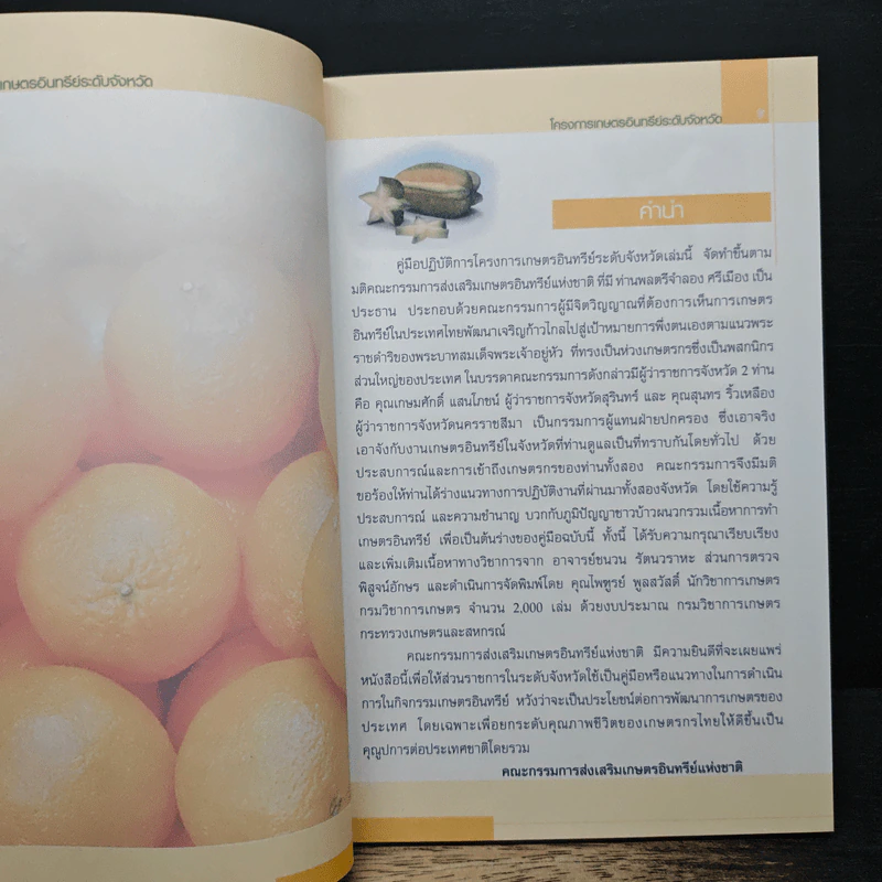 คู่มือปฏิบัติการโครงการเกษตรอินทรีย์ระดับจังหวัด รูปที่ 6