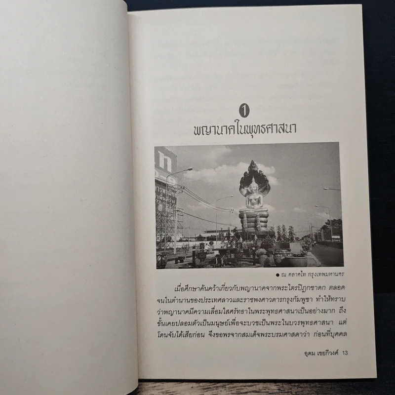 ตามรอยพญานาค - อุดม เชยกีวงศ์ รูปที่ 9