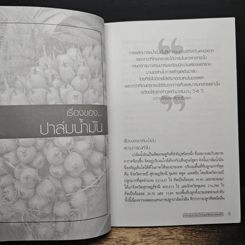 คู่มือการเพิ่มผลผลิต การปลูกปาล์มน้ำมัน รูปที่ 9