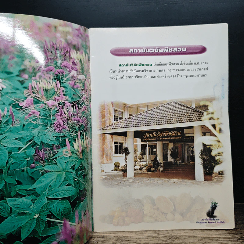 สถาบันวิจัยพืชสวน กรมวิชาเกษตร รูปที่ 6