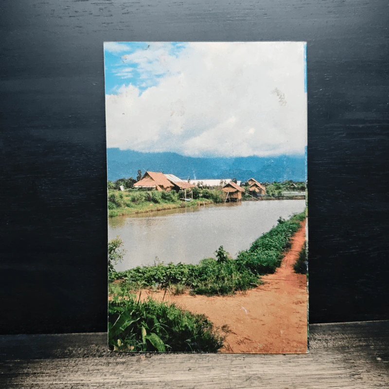น้ำเพื่อชีวิต เพิ่มผลผลิตการเกษตร รูปที่ 2
