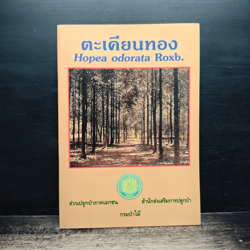 ตะเคียนทอง Hopea odorata Roxb รูปที่ 1