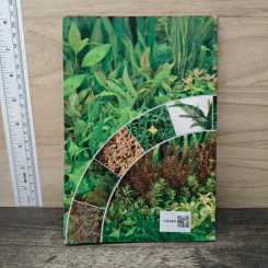 พรรณไม้น้ำสวยงาม รูปที่ 5
