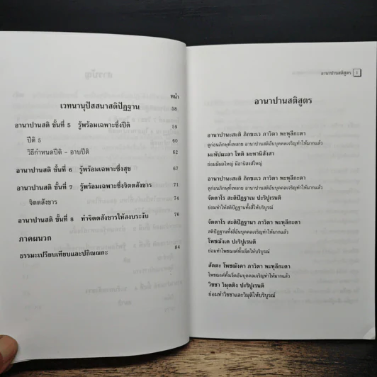 อานาปานสติ : วิถีแห่งความสุข 2 ขั้นที่ 1-8 - พระอาจารย์มิตซูโอะ คเวสโก รูปที่ 8