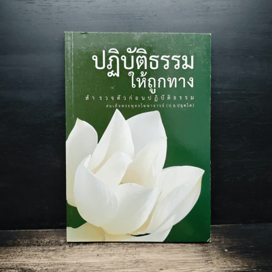 ปฏิบัติธรรมให้ถูกทาง - พระพรหมคุณาภรณ์ (ป.อ.ปยุตโต) รูปที่ 1