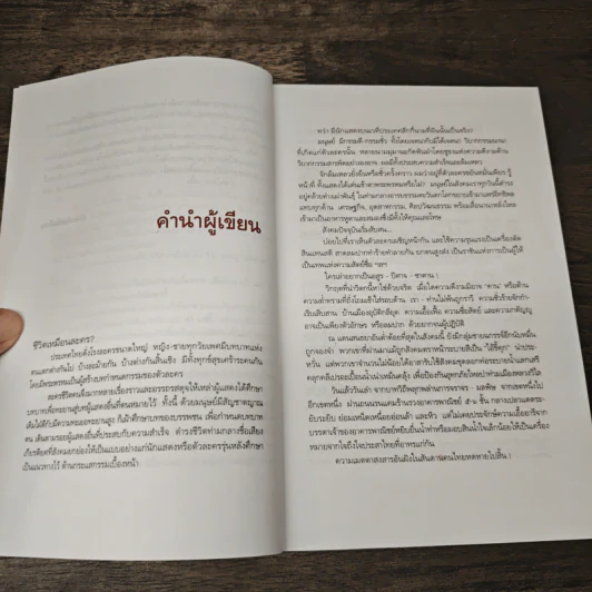 บันทึกเถื่อน - สุริยัน ศักดิ์ไธสง รูปที่ 7