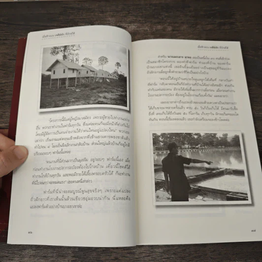 เมื่อฟ้าหม่น เจดีย์หักที่ปักษ์ใต้ - วิมลพรรณ ปีตธวัชชัย รูปที่ 7