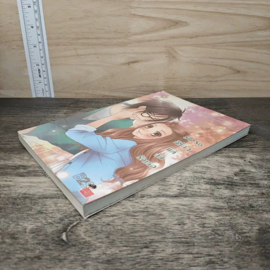 So So ก็งั้นๆแต่ฉันรักเธอ - บิวบิว รูปที่ 3