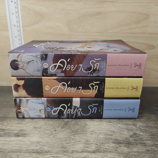 ค่อยๆรัก 3 เล่มจบ - summer december รูปที่ 2
