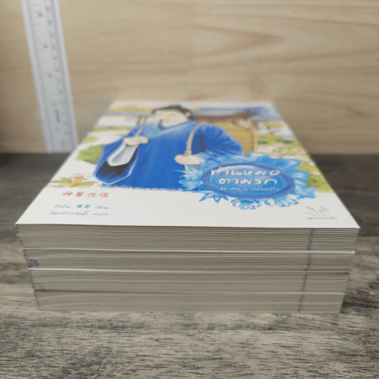 Box Set สัญญาหมั้นมัดใจ - ถังอิน รูปที่ 8