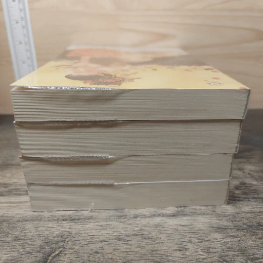 Boxset นิยายแจ่มใส ชุด ตำหนักรักนิรันดร์ 4 เล่มจบ รูปที่ 7