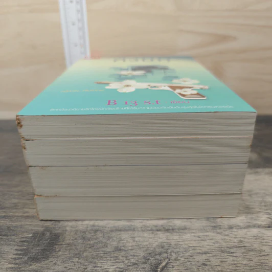 BoxSet คิวบิก 4 เล่มจบ - B 12 s.t รูปที่ 10