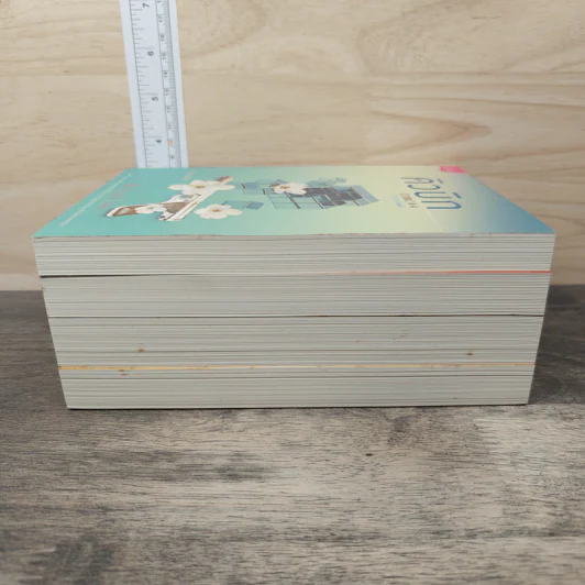 BoxSet คิวบิก 4 เล่มจบ - B 12 s.t รูปที่ 9