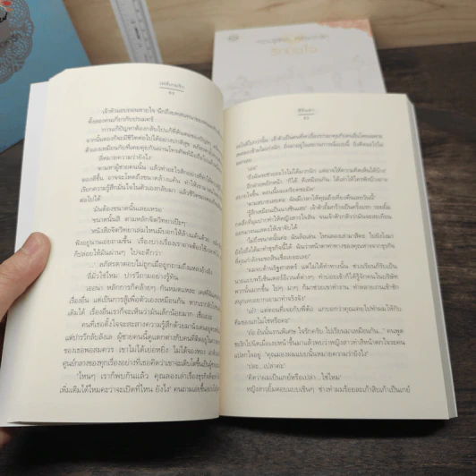 BoxSet หนังสือนิยายชุด สลัดโสด โดดหารัก 3 เล่ม รูปที่ 12