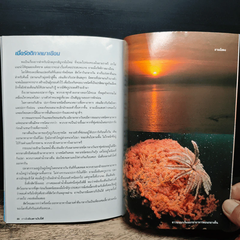 คู่มือการท่องเที่ยวเชิงนิเวศทางทะเล สมุทรสัญจร รูปที่ 10