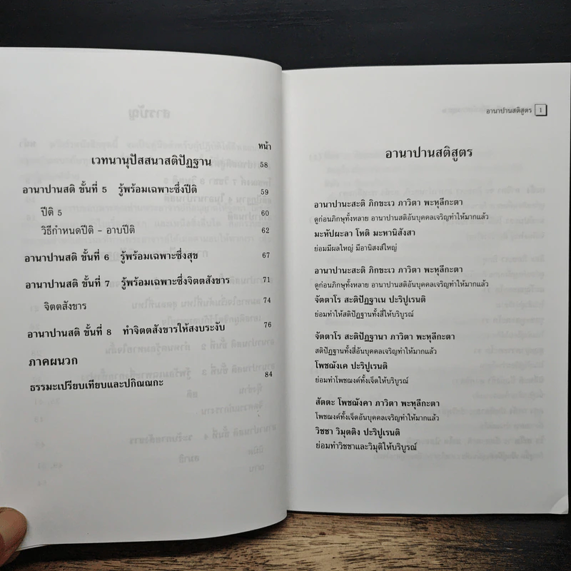 อานาปานสติ : วิถีแห่งความสุข 2 ขั้นที่ 1-8 - พระอาจารย์มิตซูโอะ คเวสโก รูปที่ 8