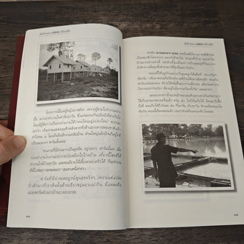 เมื่อฟ้าหม่น เจดีย์หักที่ปักษ์ใต้ - วิมลพรรณ ปีตธวัชชัย รูปที่ 7