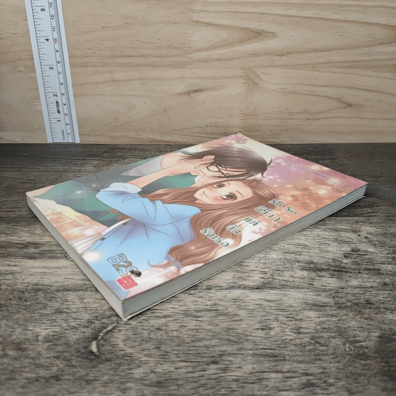 So So ก็งั้นๆแต่ฉันรักเธอ - บิวบิว รูปที่ 3