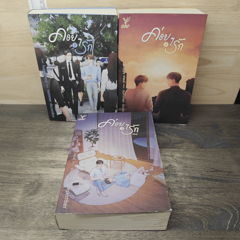 ค่อยๆรัก 3 เล่มจบ - summer december รูปที่ 1