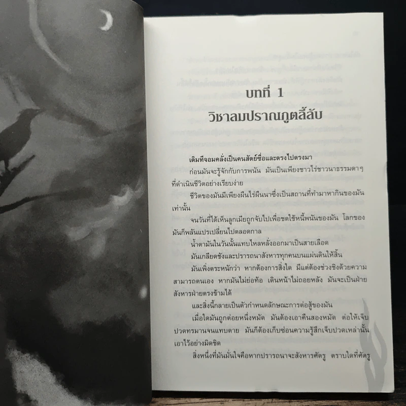 มหากาพย์เทพมรณะ เล่ม 1-8 - ซ็อลบง รูปที่ 6