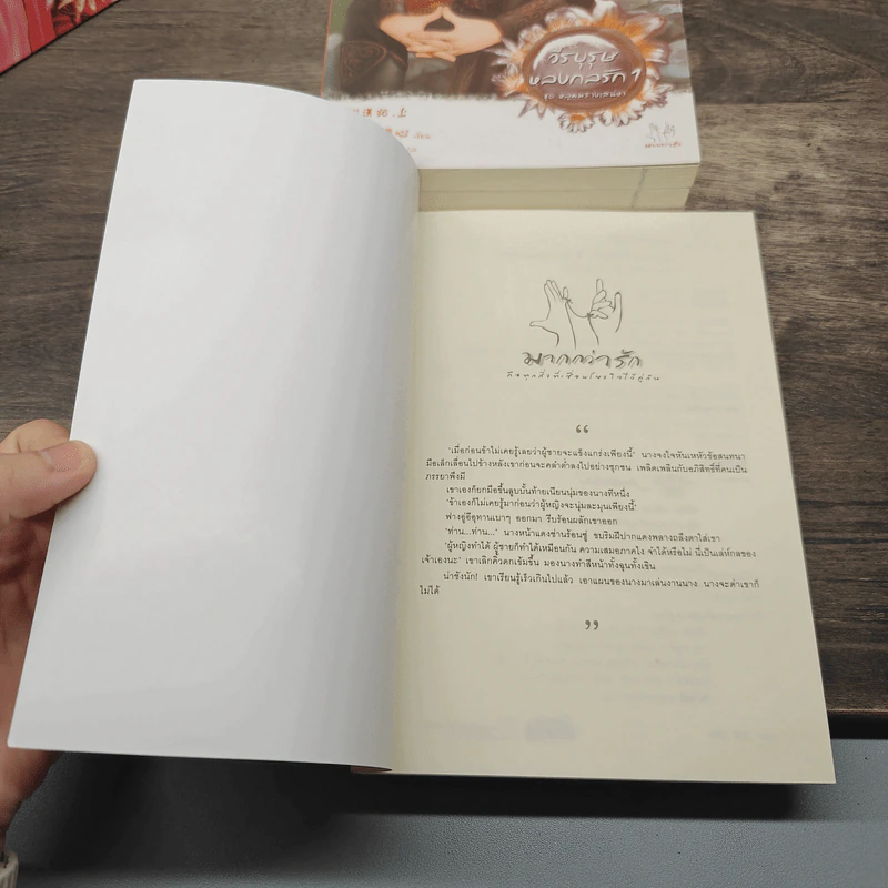 Boxset นิยายแจ่มใสจีน ชุดหลุมพรางเสน่หา 4 เล่ม รูปที่ 9